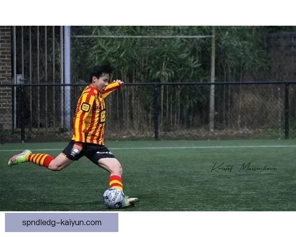 梅赫伦青训实力持续提升，值得关注的未来之星不断涌现